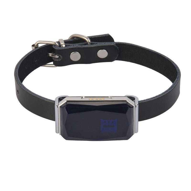G12 Gem Design Pets Collar GPS Tracker IP67 Waterproof Rechargeable Dog Cat Tracking Device Locator - Blue G12 Gem Design Pets Collar GPS Tracker IP67 Waterproof Rechargeable Dog Cat Tracking Device Locator - Blue